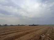 Satılır  torpaq 50 sot, photo 2 from 8