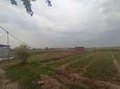 Elan №5894404 - Şəmkir, Şəmkir, 50 sot