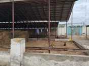 Satılır  torpaq 18 sot, Maştağa q., photo 4 from 8