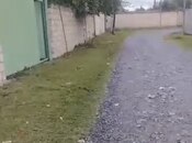 Satılır 6 otaqlı həyət evi/bağ evi 230 m², photo 4 from 4