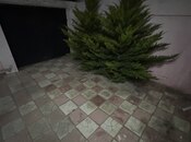 İcarəyə verilir 2 otaqlı həyət evi/bağ evi 65 m², Maştağa q., photo 2 from 7