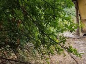 Satılır 3 otaqlı həyət evi/bağ evi 60 m², photo 8 from 8