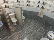 Сдаётся  объект 270 м², м. Насими, photo 5 from 8