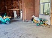 Сдаётся  объект 300 м², м. Мемар Аджеми, photo 7 from 8