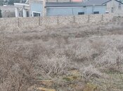 Участок - пос. Шувеляны - 3.5 сот