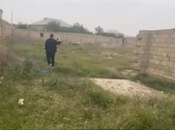 Elan №5896012 - Bakı, Puta q., 6 sot