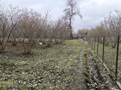 Satılır  torpaq 44 sot, photo 2 from 3