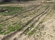 Satılır  torpaq 3.6 sot, Novxanı q., photo 3 from 7