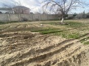 Satılır  torpaq 3.6 sot, Novxanı q., photo 2 from 7