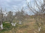 Продаётся  участок 25 сот, Бинагадинский р., photo 3 from 3