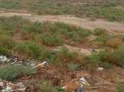 Satılır  torpaq 140 sot, photo 4 from 7