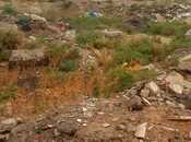 Satılır  torpaq 140 sot, photo 6 from 7