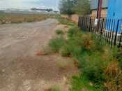 Satılır  torpaq 140 sot, photo 2 from 7