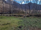 Satılır  torpaq 9 sot, photo 2 from 2