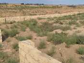 Satılır  torpaq 6 sot, Saray q., photo 2 from 4
