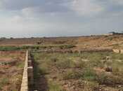 Satılır  torpaq 6 sot, Saray q., photo 4 from 4