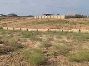 Объявление №5899320 - Баку, пос. Сарай, 6 сот