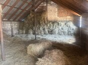 Satılır  torpaq 100 sot, photo 8 from 8