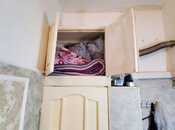 Сдаётся 1-комн. вторичка 15 м², м. Сахил, photo 3 from 7