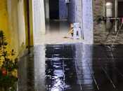 Elan №5900389 - Bakı, Pirallahı r., 3 otaqlı, 110 m²