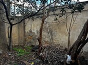 Продаётся  участок 2 сот, м. Гянджлик, photo 3 from 6