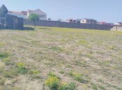 Elan №5900781 - Bakı, Qala q., 24 sot