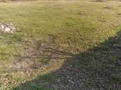 Продаётся  участок 30 сот, пос. Бадамдар, photo 4 from 4