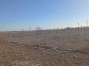 Elan №5901065 - Göyçay, Göyçay, 200 sot