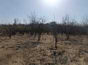 Elan №5901117 - Qusar, Qusar, 25 sot