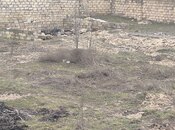 Продаётся  участок 3 сот, пос. Новханы, photo 6 from 7