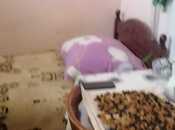 Продаётся 4-комн. вторичка 100 м², пос. Сабунчи , photo 8 from 8