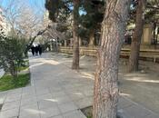 Elan №5902730 - Bakı, Azadlıq Prospekti m., 2 sot