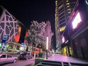 İcarəyə verilir 2 otaqlı yeni tikili 80 m², Nəriman Nərimanov m., photo 4 from 8