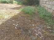 Продаётся  участок 7.7 сот, пос. Бадамдар, photo 3 from 8