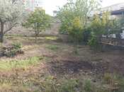 Объявление №5903093 - Баку, пос. Бадамдар, 7.7 сот