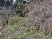 Satılır  torpaq 9 sot, Badamdar q., photo 5 from 8