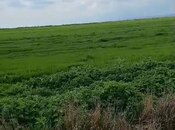 Объявление №5903234 - Ахсу, Ахсу, 17500 сот