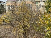 Объявление №5903273 - Баку, пос. Шихов , 11 сот