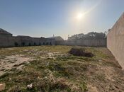 Elan №5903590 - Bakı, Qala q., 6 sot