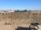 Satılır 4 otaqlı həyət evi/bağ evi 161 m², Türkan q., photo 4 from 8