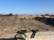 Satılır 4 otaqlı həyət evi/bağ evi 161 m², Türkan q., photo 3 from 8