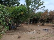 Продаётся  участок 37 сот, пос. Мардакан, photo 6 from 6