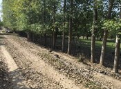 Elan №5904547 - Qusar, Qusar, 15 sot