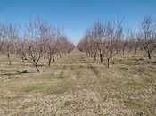 Satılır  obyekt 120 000 m², photo 7 from 8