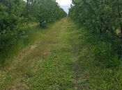 Satılır  obyekt 120 000 m², photo 2 from 8