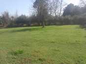 Satılır  həyət evi/bağ evi 120 m², Astara r., photo 6 from 8