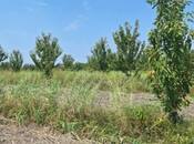 Объявление №5905604 - Хачмаз, Хачмаз, 367 сот