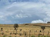 Elan №5905673 - Bakı, Binəqədi r., 50 sot