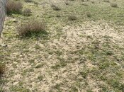 Elan №5906163 - Bakı, Qala q., 14 sot