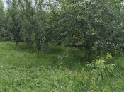 İcarəyə verilir 3 otaqlı həyət evi/bağ evi 135 m², photo 2 from 8